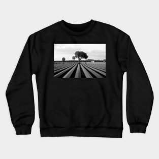 FARMLAND Crewneck Sweatshirt